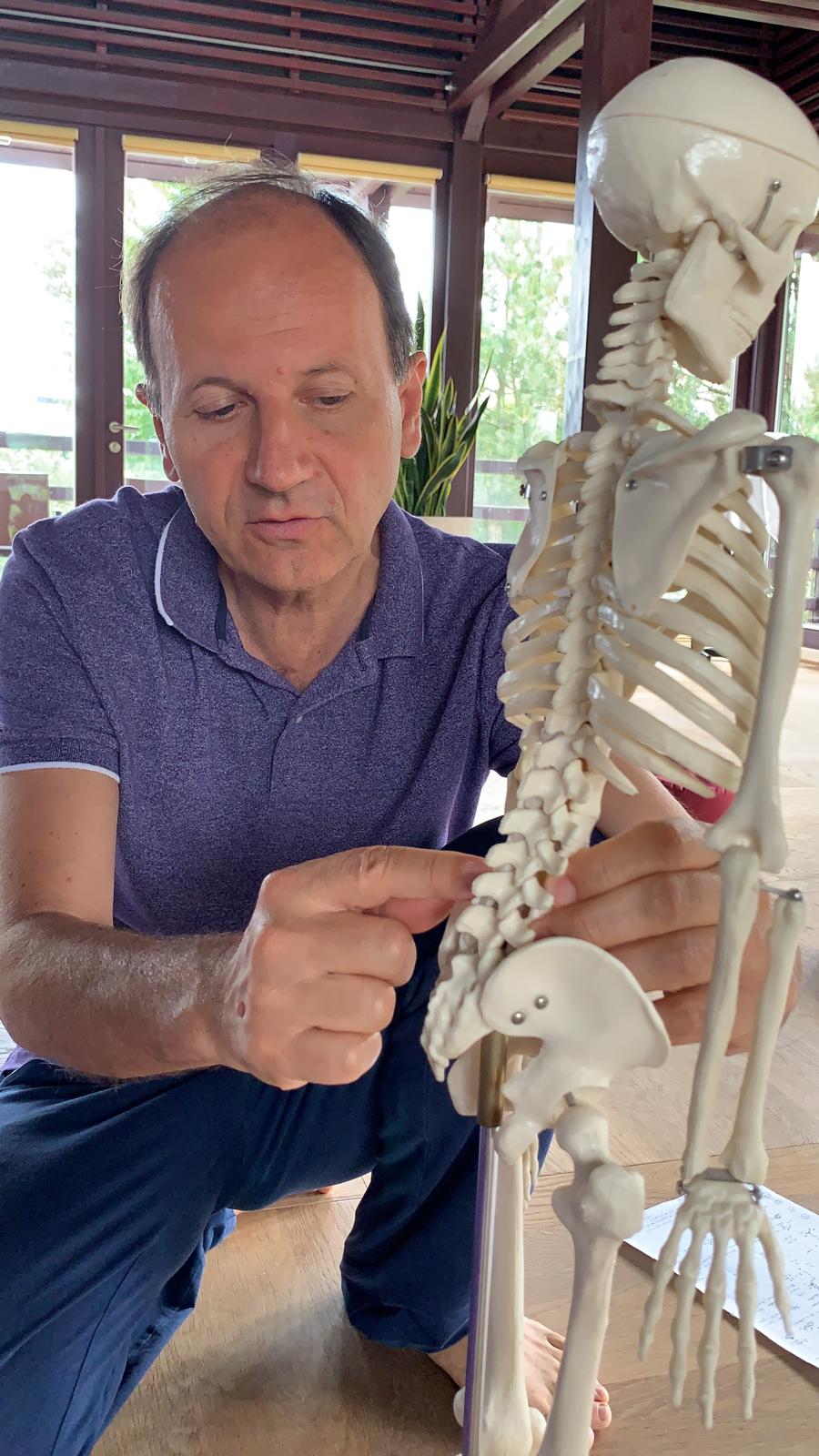 Remo Rittiner erklärt funktionelle Anatomie an einem Skelettmodell